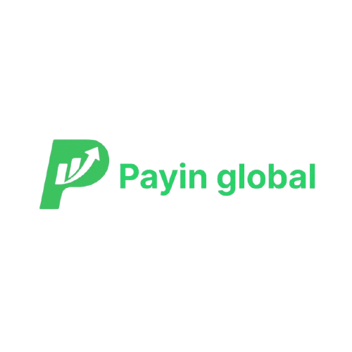 Payin Global logo